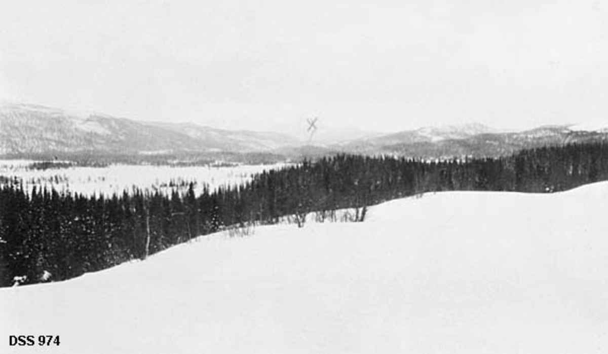 Vinterlandskap i Øvre Korgen statsskoger. Fotografiet er tatt fra en skogløs bakkekam over et myrareal med en åsrygg på motsatt side.  I lia mellom bakkekammen og myra står det ganske tett granskog.  Stedet Bleikvassli er markert med på påtegnet kryss om lag midt på kopien. 