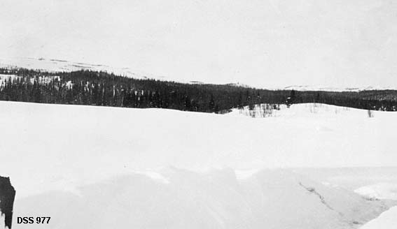 Vinterlandskap fra Øvre Sørfjellet i Korgen.  Fotografiet har en stor snøplogkant eller snøskavl i forgrunnen.  Bakenfor ligger ei stripe granskog og helt i bakgrunnen en åsrygg med snaufjell. 