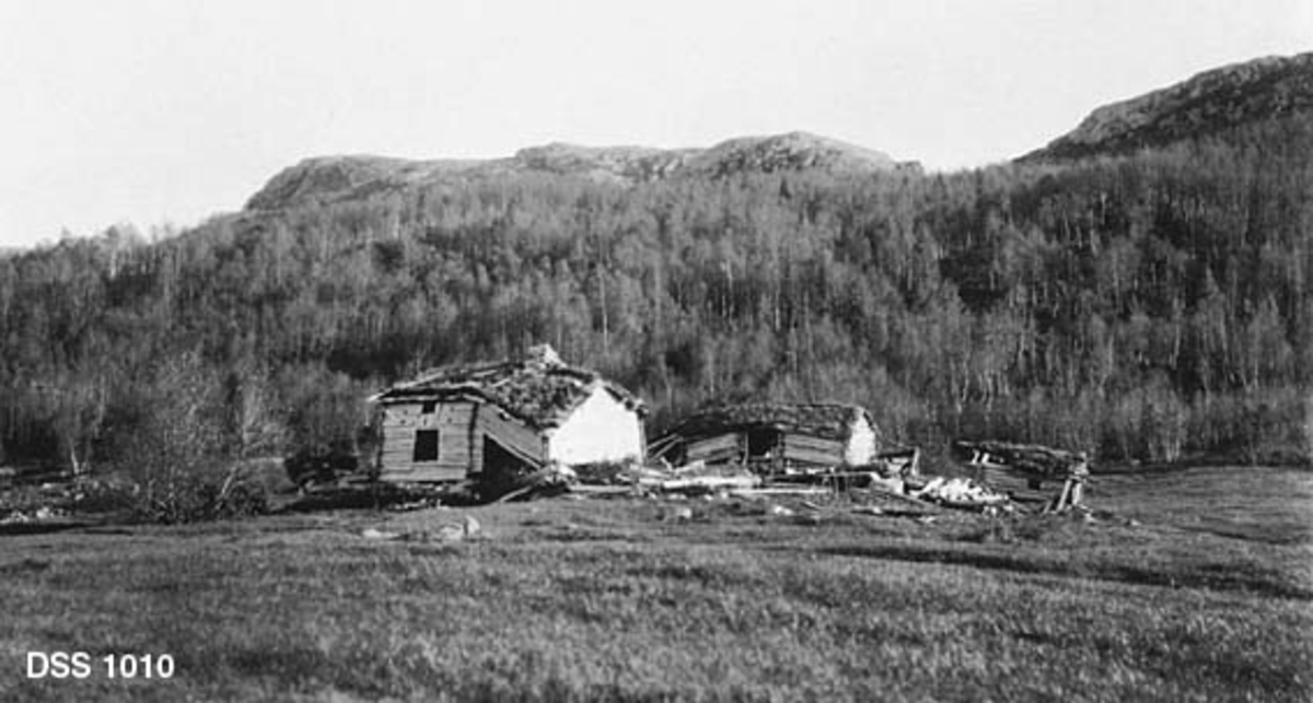 Sammenrast bebyggelse på den fraflyttede rydningsplassen Bjørnvollen i Vefsn.  Fotografiet er tatt fra et engareal nedenfor tunet.  Garden har hatt minst tre laftetet hus.  Såvel et halvannet etasjes våningshus som låve og fjøs er i ferd med å rase sammen.  I lia ovenfor bygningene vokser det bjørkeskog, og helt i bakgrunnen ses en bergrygg over tregrensa. 