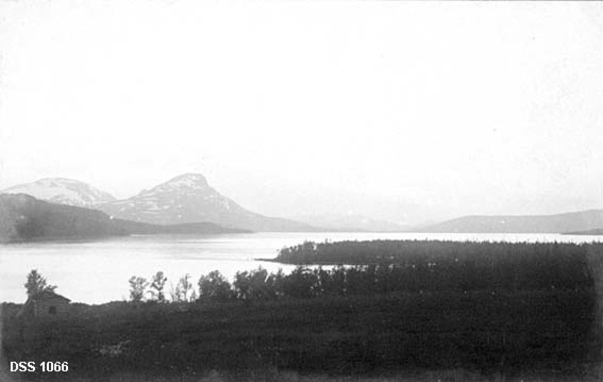 Utsikt over landskapet rundt Røsvatn i Hattfjelldal.  I forgrunnen et engareal med ei utløe i utkanten.  Mellom engarealet og vatnet er det et band av bjørkeskog.  På motsatt side av vatnet er det en lav skogbevokst ås, med høgere, dels snødekte fjell i bakgrunnen.  