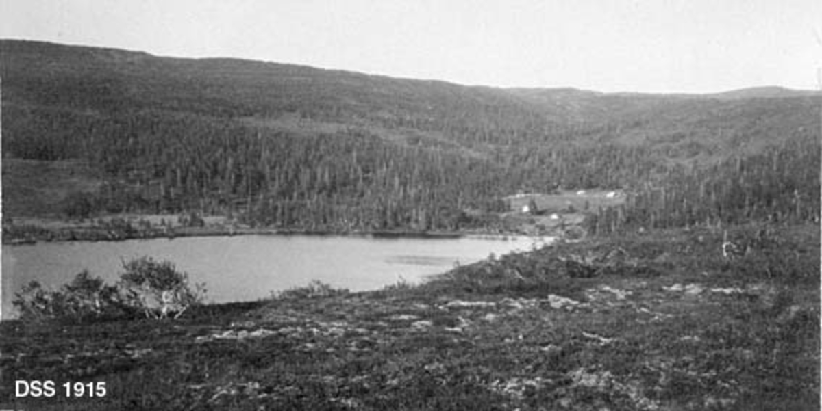 Landskapsfotografi fra Nordfjord-komplekset.  Fjellandskap med myrete, lyng og risbevokst terreng i forgrunnen.  I mellomgrunnene et vatn, dels omgitt av barskog.  Innerst ved vatnet et åpent areal i skogen, der det er ryddet et par garder eller sætrer. 