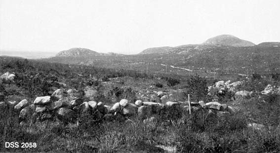 Mislykket plantefelt lengst vest i Mykleskogen i Høylandkomplekset.  I forgrunnen et steingjerde.  Bak dette et gras- og lyngbevokst heiområde med spredte, små furutrær.  En veg skimtes lengre bak i landskapet.  Mot horisonten rager et par snaue fjelltopper. 