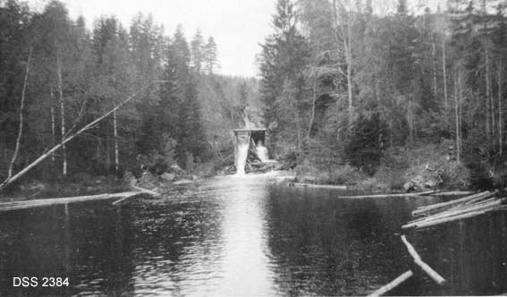 Fløtingsinnretninger i Henseidvassdraget i Drangedal.  Bildet er tatt fra en dam der det flyter noen tømmerstokker.  Tilløpet til dammen skjer fra en ovenforliggende dam (Slåttedam) som har et vassløp og ei tømmerrenne.  Omkring vassdraget vokser bjørk- gran- og furuskog. 