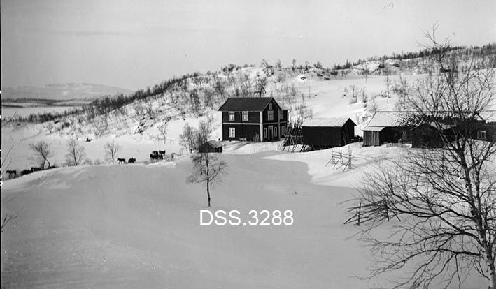 Strimasund fjellstue i Tärna, Västerbottens lappmark i Sverige.  Anlegget ligger i et dels bjørkebevokst fjellandskap.  Fjellstua har et toetasjes panelt v¨ningshus, samt et kompleks av enetasjes uthusbygninger.  En del ukappet ved er reist mellom våningshuset oug det nærmeste uthuset.  På enga i forgrunnen ei rajehesje.  En del hestedoninger med sleder skimtes på sletta nedenfor tunet. 