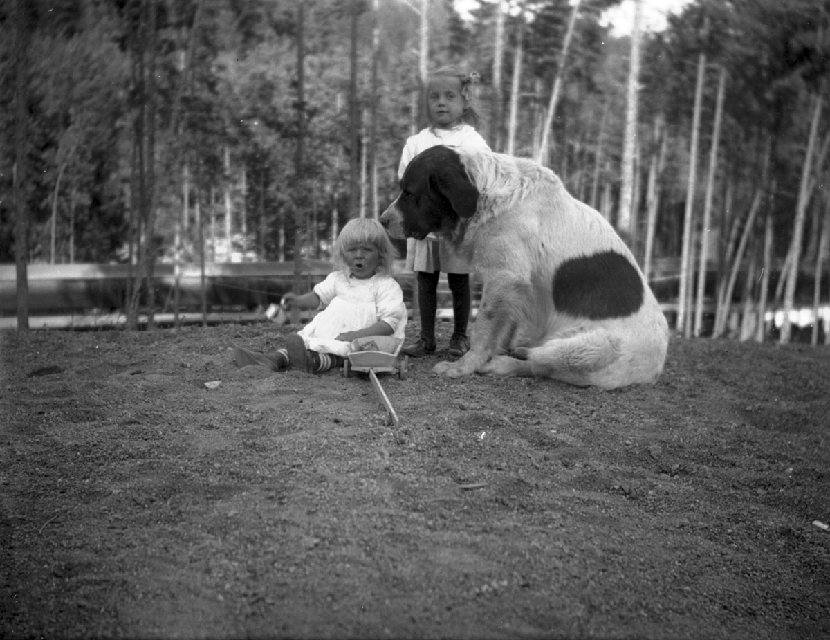Små jenter med ein stor hund