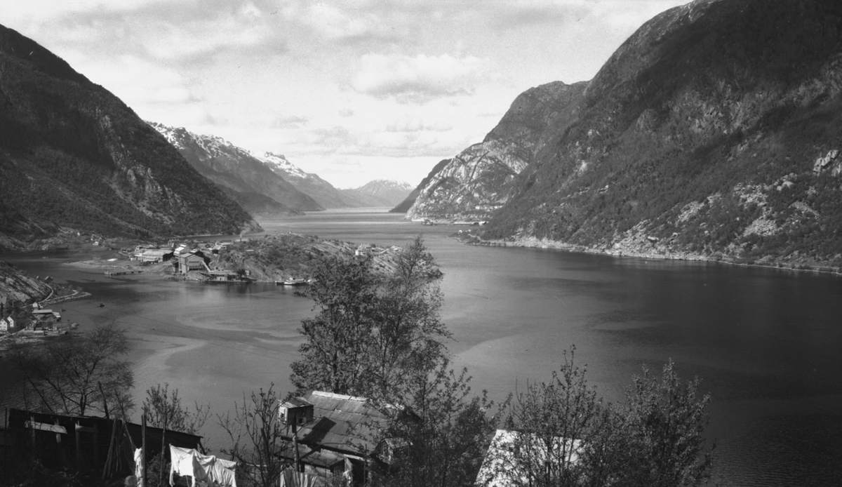 Eitrheimsneset i Sørfjorden