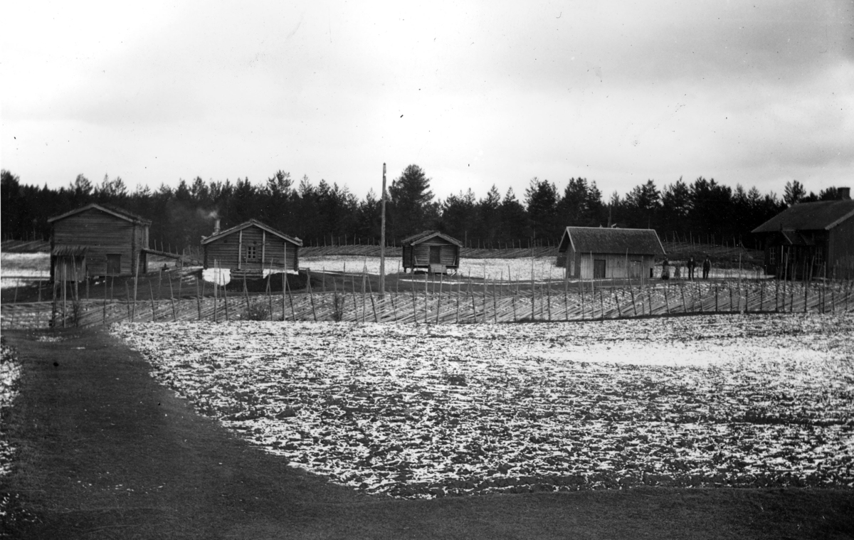 Nordre Hogstad