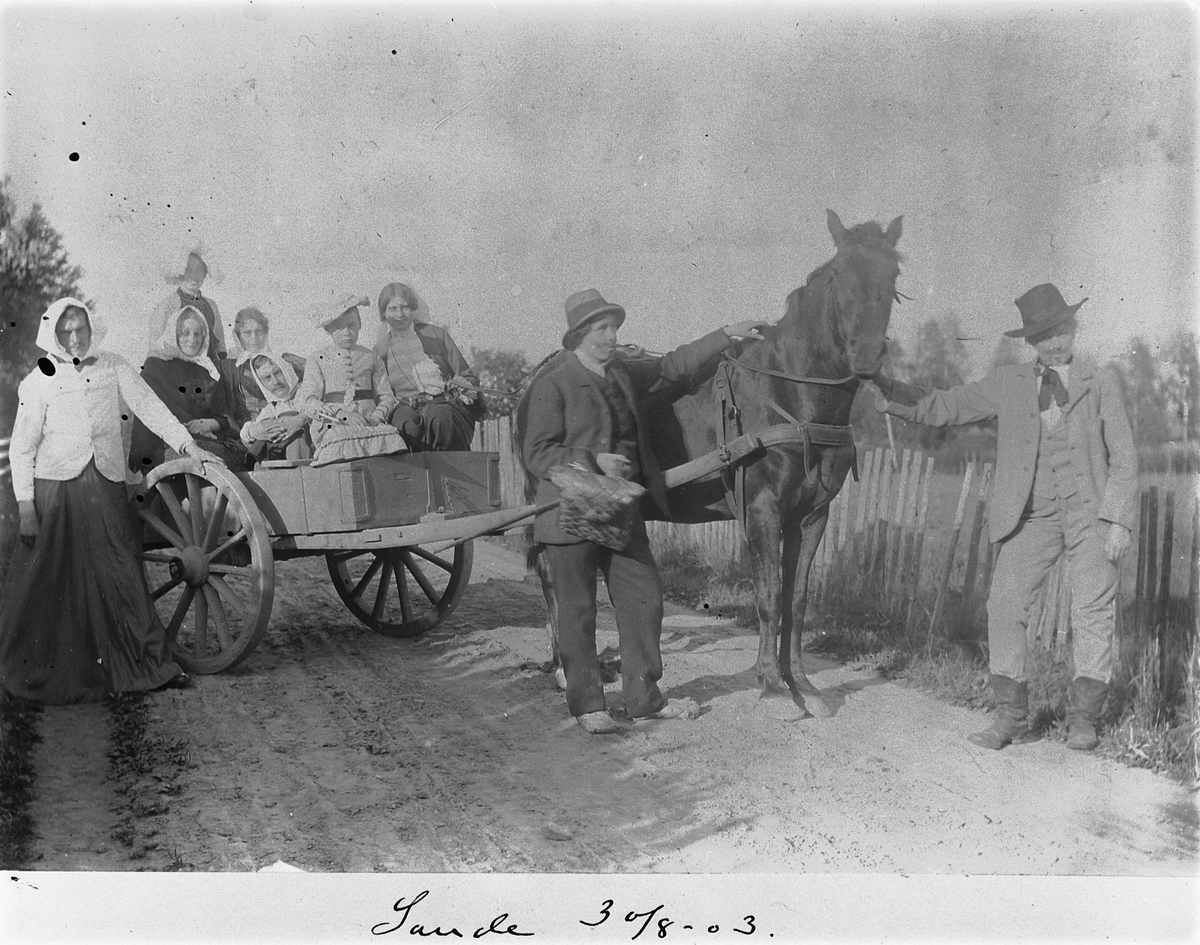 SANDE GARD, ROMEDAL, GRUPPE 9 UKJENTE UTKLEDDE, HEST OG KJERRE, . 30-8-1903. 