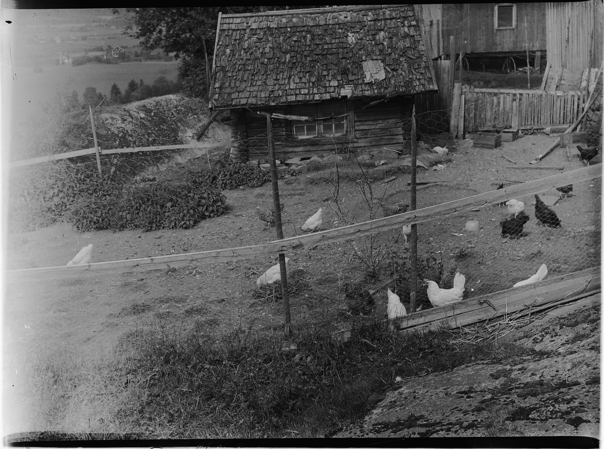 Ringsaker, Ring, Øymo - Ødemo gård, hønsehus, hønsegård,