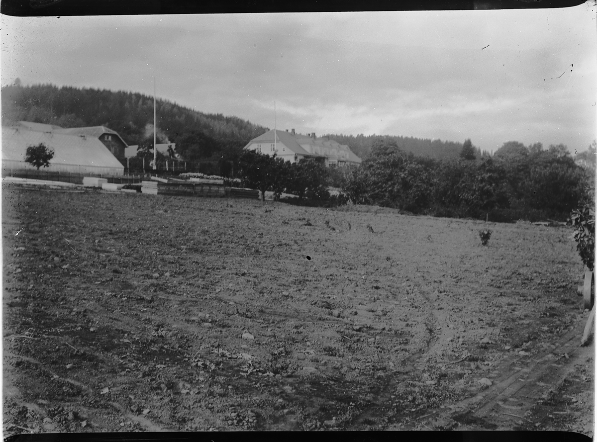 Ringsaker, Nes, Grefsheim gård,