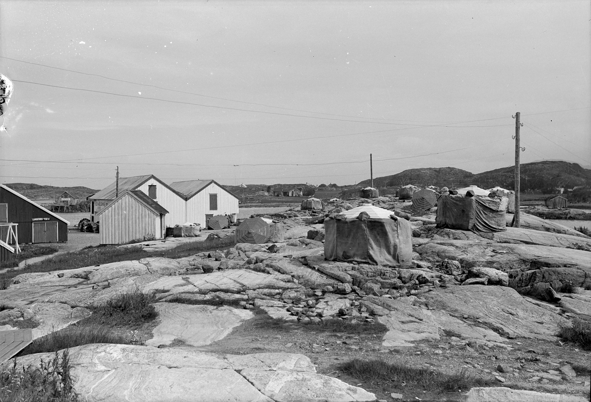 Vasøya i Vallersund