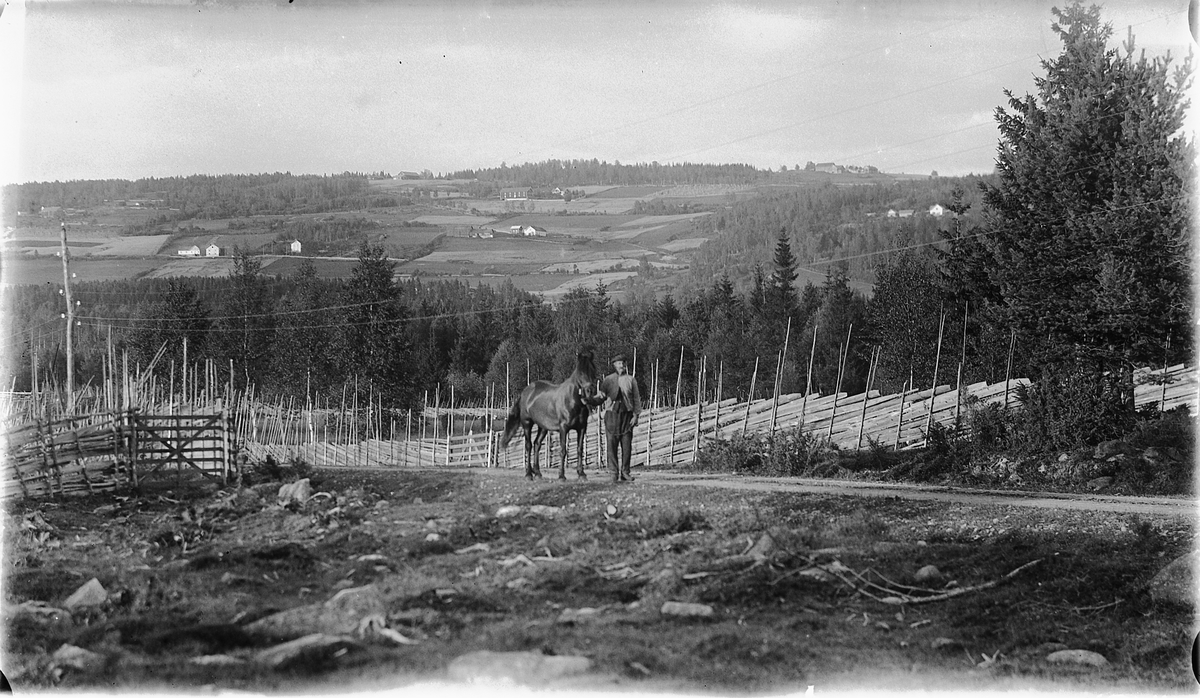 VALLSET i Stange, LANDSKAP, UKJENT MANN OG HEST, SKIGARD. 