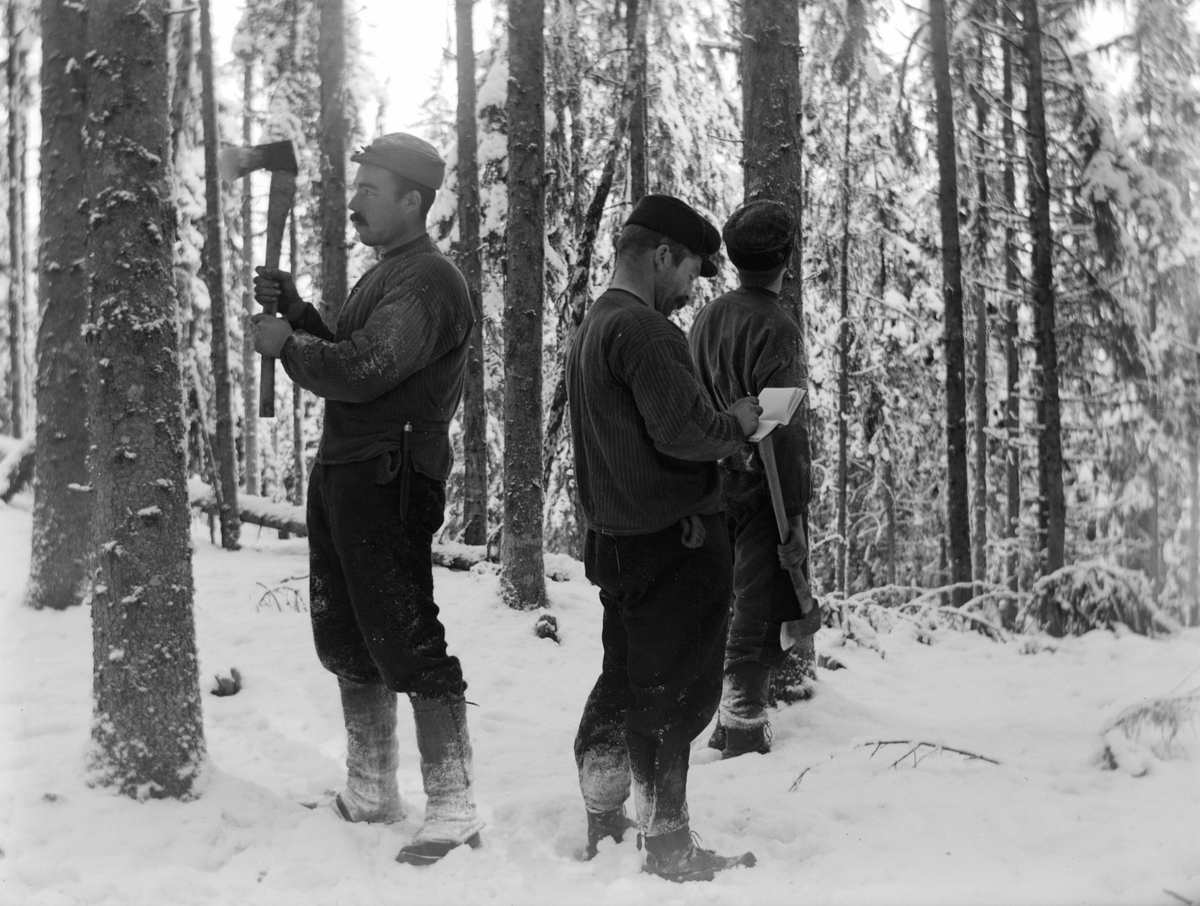 Ringsaker og Nes Almenning, Philske sameie, skogbruk, felling av tre, 2 skogsarbeidere gjør utblinking med blinkeøks,