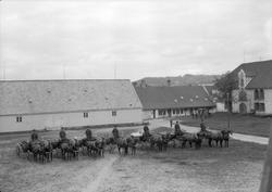 Vognmann Vinje - vognparken oppstilt i Erkebispegården