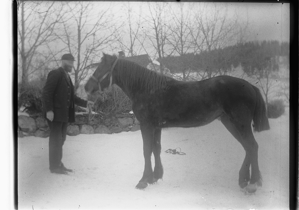 Ringsaker, Veldre Løken østre gård, ukjent stallkar med hest,