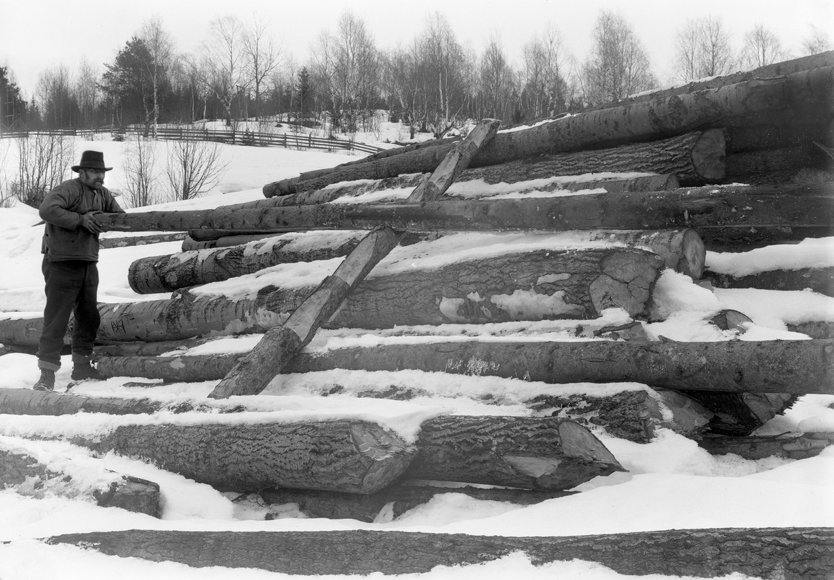 Ringsaker og Nes Almenning, skogbruk, skogsarbeider stabler tømmer med "Kjerring", tømmervelte, velteplass