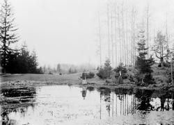 Vang H,  Øvre Skråstad, To ukjente kvinner ved en dam i skog