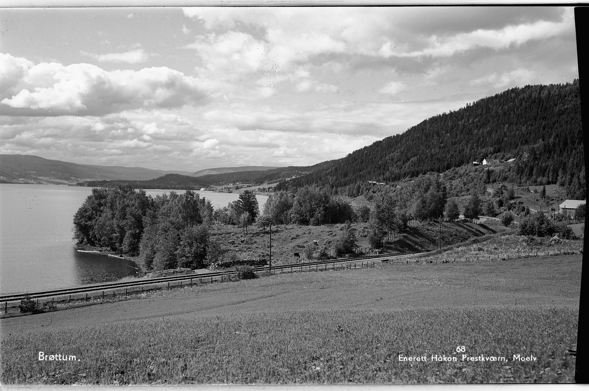 Ringsaker, Mjøslandskap fra Ring mot Brøttum, Bergsodden,