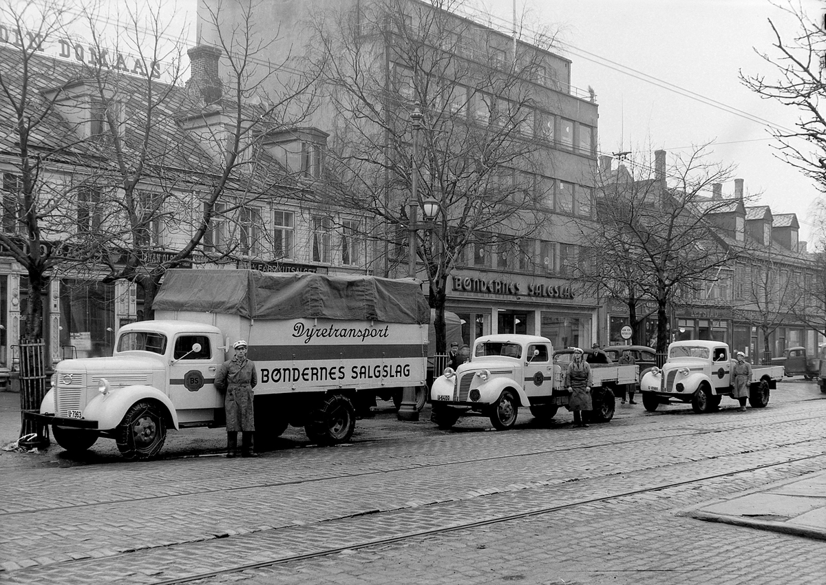 Bøndernes Salgslags biler