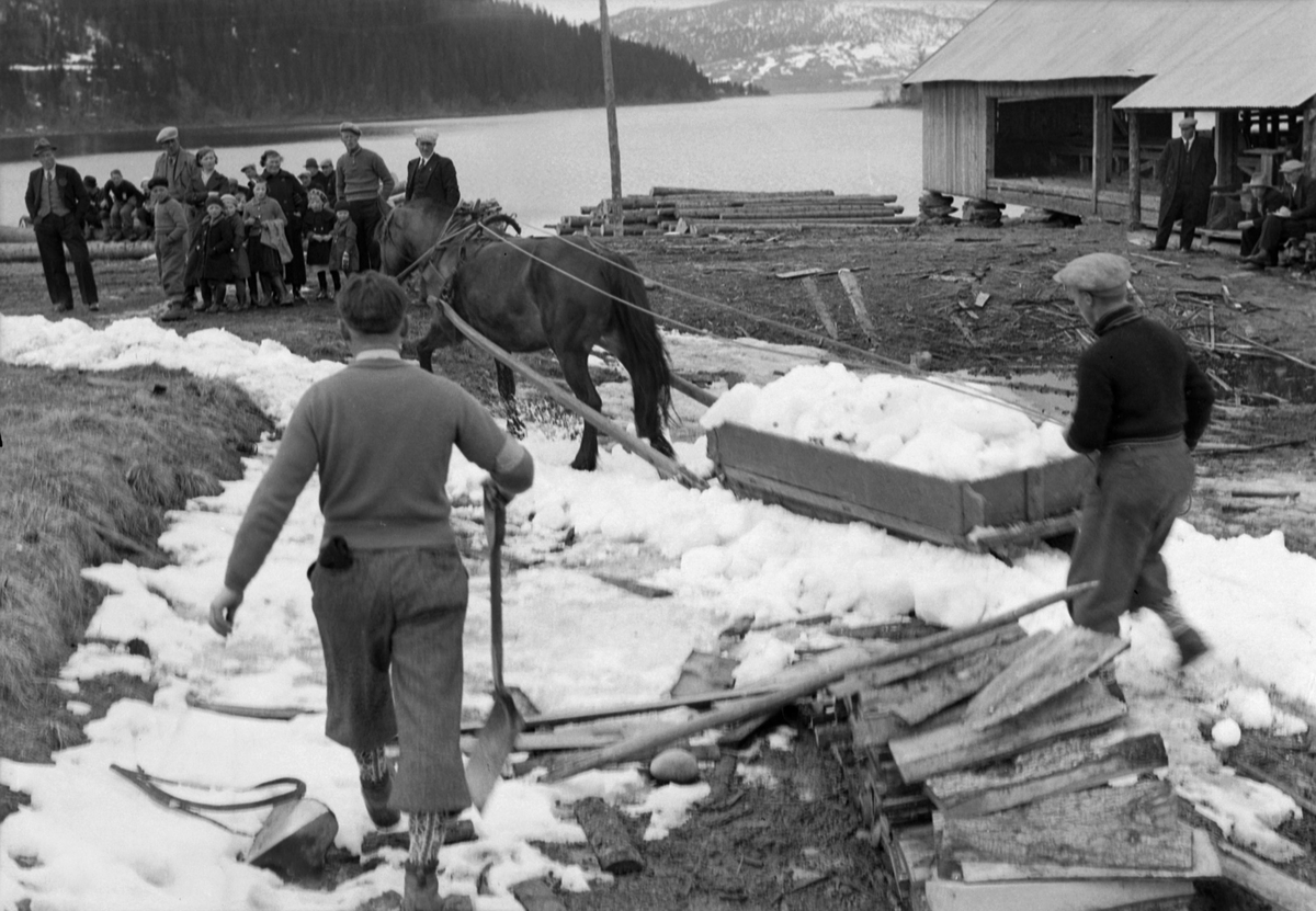 Reinsfjellrennet 1938