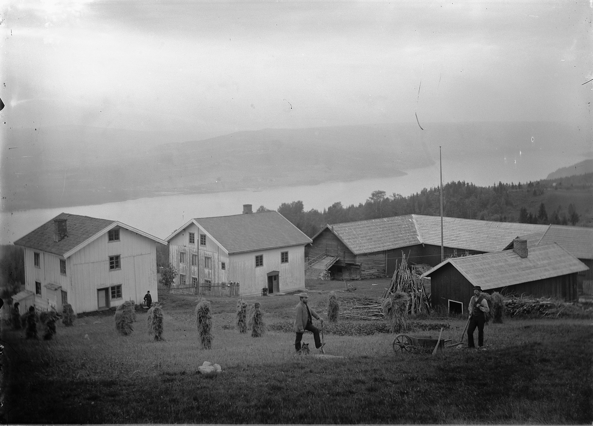 Ringsaker, Ring, Svartungstad gård, hovedbygning, driftsbygninger, 2 menn med spader, kornsnes, Mjølsa i bakgrunnen,