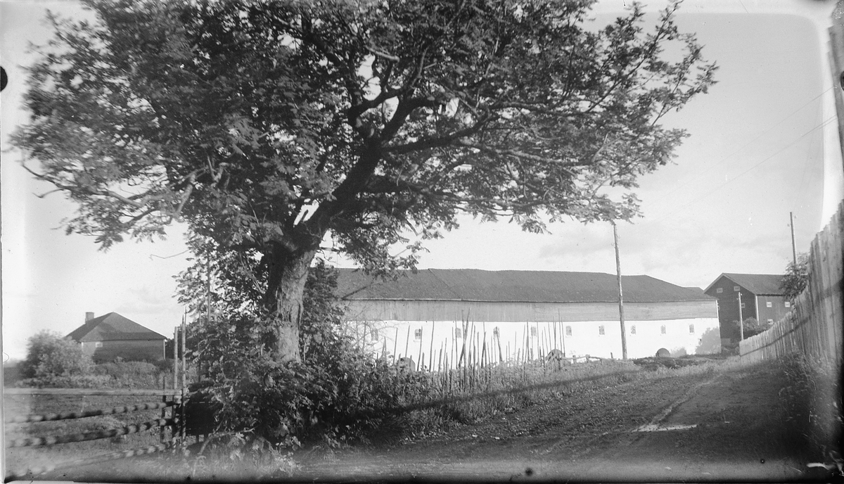 Hamar, Storhamar gård, Storhamarlåven på Domkirkeodden, senere Hedmarksmuseet, stabbur til høyre,