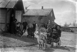 Tynset, Neby gård, Fire barn i ei kjerre trukket av ei geit,