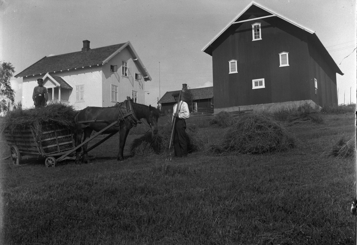 Ringsaker, Rognum går, Slåttonn, høyonn. To menn: Gjørsli kjører inn høy med hest og høykjerre, nabogard til Sveinhaug.