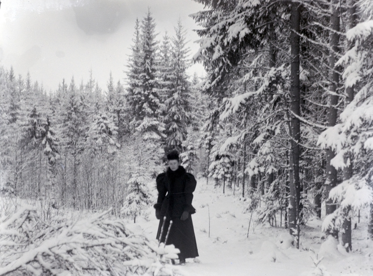 Ringsaker, Nes, Grefsheim gård, Vinter. Ukjent kvinne i skogen. 