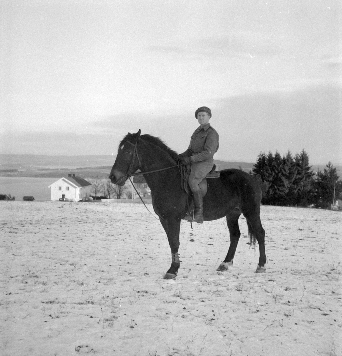 Militære, Starum ekserserplass, diverse kurs og diverse portretter, 1950. Starum. 


Bilde nr. 1: Fenrik Raassum, nr. 2: fenrik Midtbø, nr. 3: sersjant Grini, nr. 4: sersjant Mo, nr. 5: R. Løkken. 

Bilde nr. 6 til 20: Ukjente menn på hester. 
Bilde nr. 21 til 23: Ukjente menn, bilde nr. 24: Sersjant Aabel. 
Nr. 27 til 30: Ukjente menn til hest. 