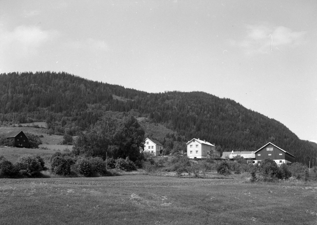 Ringsaker, Nes H, Nerlien gård, 7 opptak fra gården