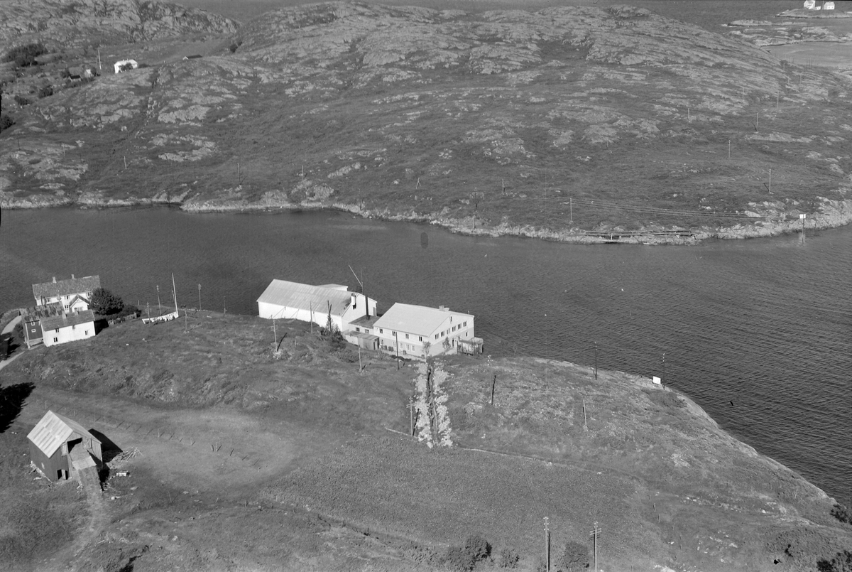 Astor Canning hermetikkindistri, fiskmatproduksjon