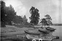 Hamar, Koigen, Høiensalodden. Robåter langs Mjøsstranda i Ko