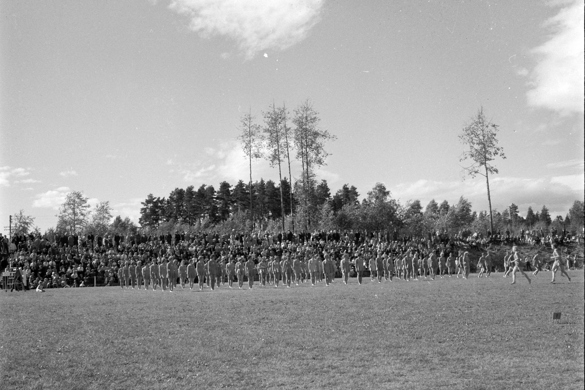 Turnstevne i Idrettsparken i Moelv i 1959. 