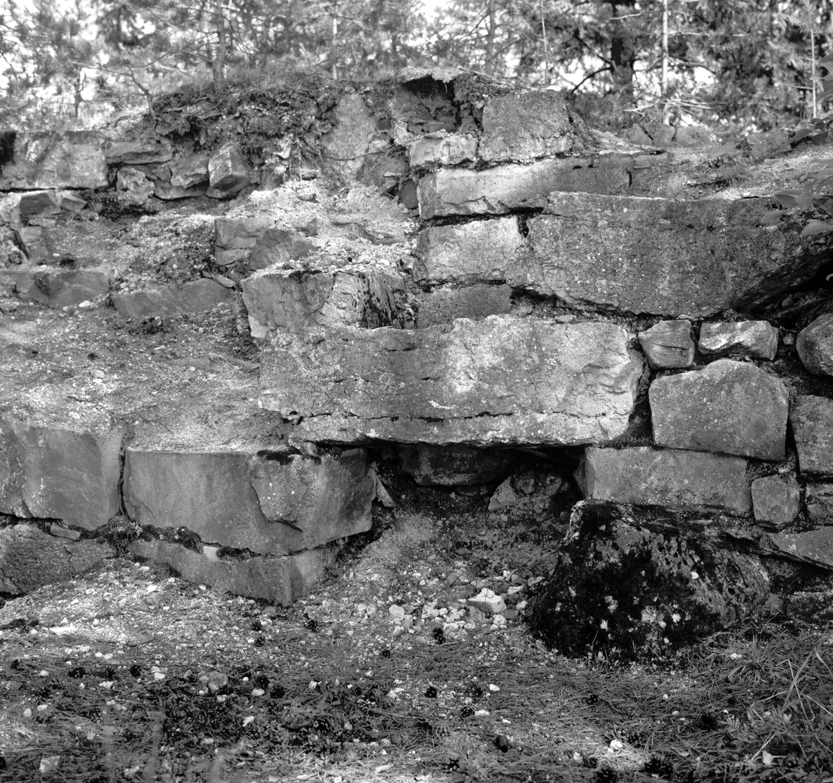 Steinsholmen, Mjøskastellet, Ringsaker. Mjøsa. Ruin, steinmur. 