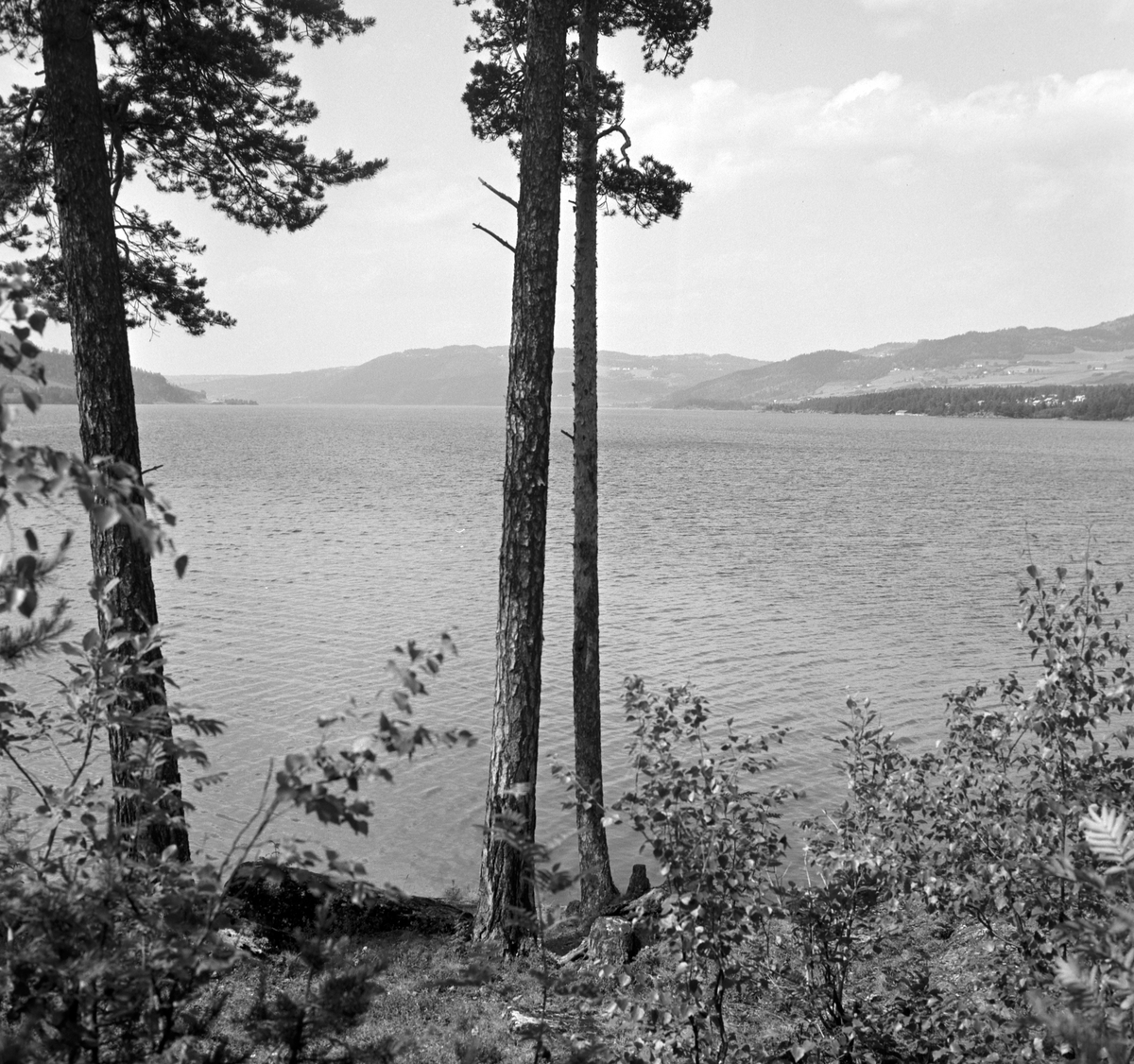 Steinsholmen, Mjøsa, Mjøskastellet, ruin, mur. Landskap mot Ring og Brøttum. 