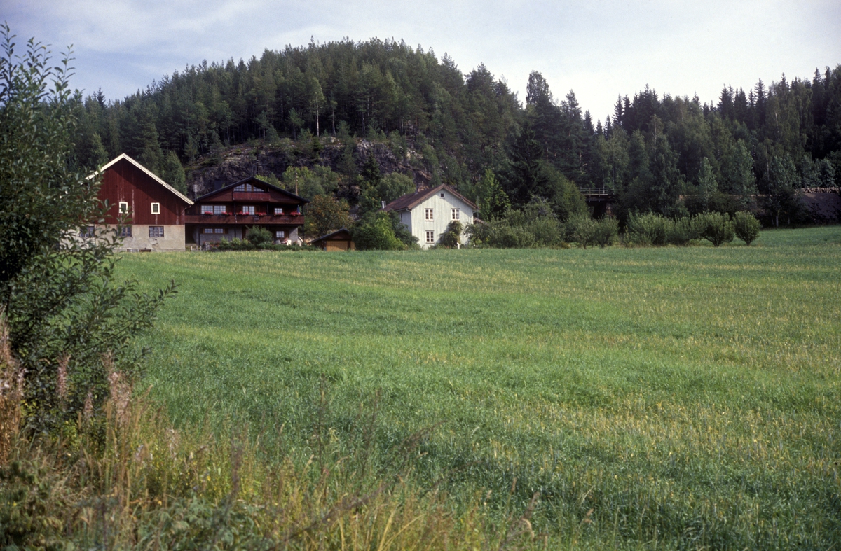 Ringsaker, Bygdeborgen nær Domstuberget, ligger bak Grønvoll gård 248/10,