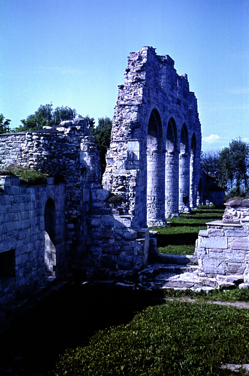 Hamar, Domkirkeodden, Domkirkeruinen, 