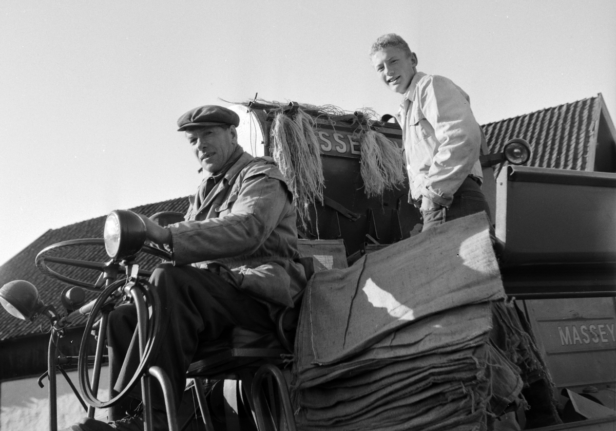 MASSEY FERGUSSSON SKURTRESKER, SKURONN, SKØYEN GÅRD, LØTEN. Jørgen Færgen og Reistad på skurtreskeren