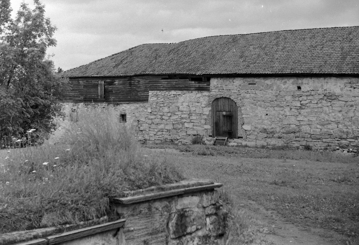 STORHAMARLÅVEN PÅ HEDMARKSMUSEET, 1964. 