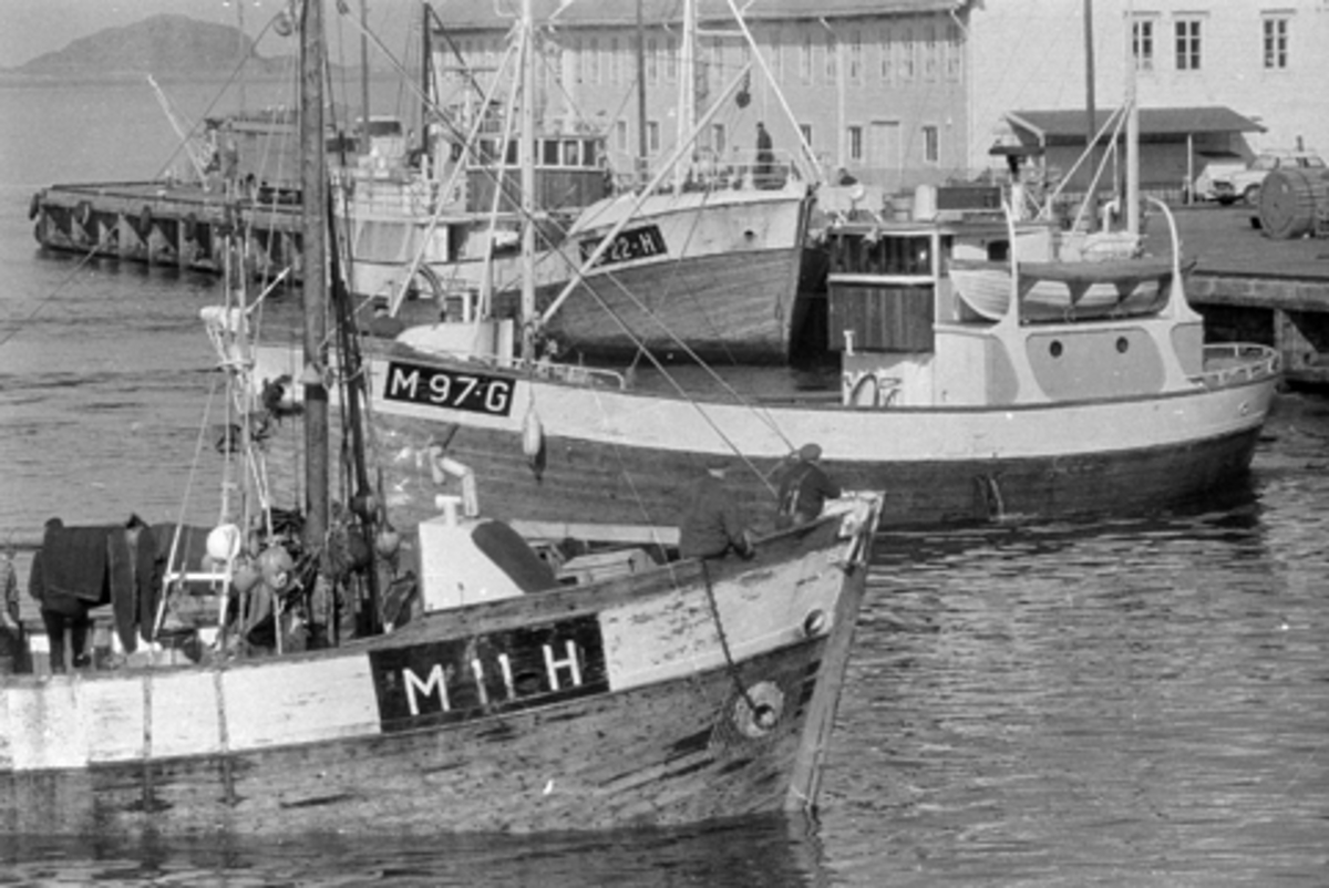 Hamar Stiftstidende lager reportasje fra Ålesund om "Møretorskens" veg fra havet til Innlandet, fiskebåten "Ole. L" med skipper Lars O. Nordstrand, mannskap boren Petter O. Nordstrand, stuert Kåre J. Mulelid, Arne P. Nordstrand og Oddvar Valderhaug, Torskefiske fra fiskeskøyte med "Snurrevad" trål, møte med fiskeskøyte M 11 H og M 97 G Vonheim,