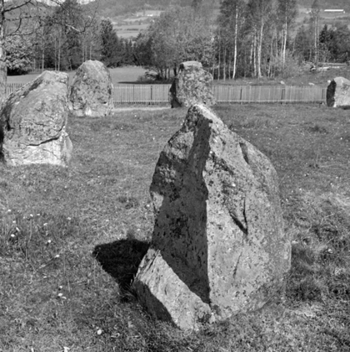 Ringsaker, Moelv, Storgata, Turistvegen, Tolvsteinene, steinkretsen på Ring under Smestad gård, fornminne i Smestadsvingen, 