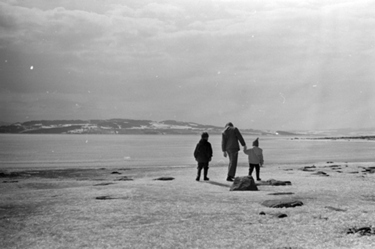 DOMKIRKEODDEN, MJØSA, STEMNING, VINTER. 