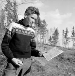 Hamar, Hamarkameratene, HamKam, Tor Arne Stokseth, orienteri