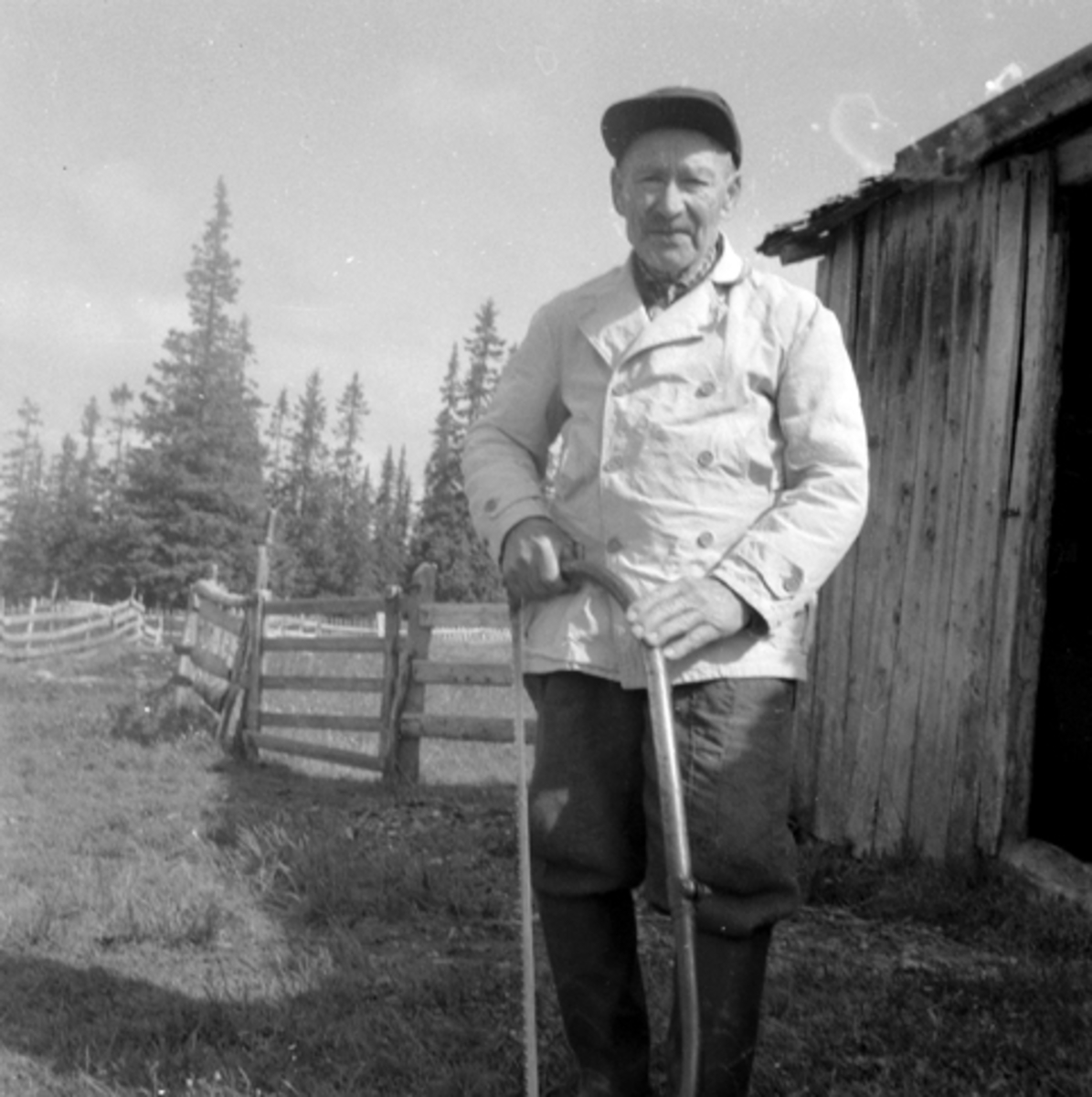 Elling Rønes, Trysil. Buesag.