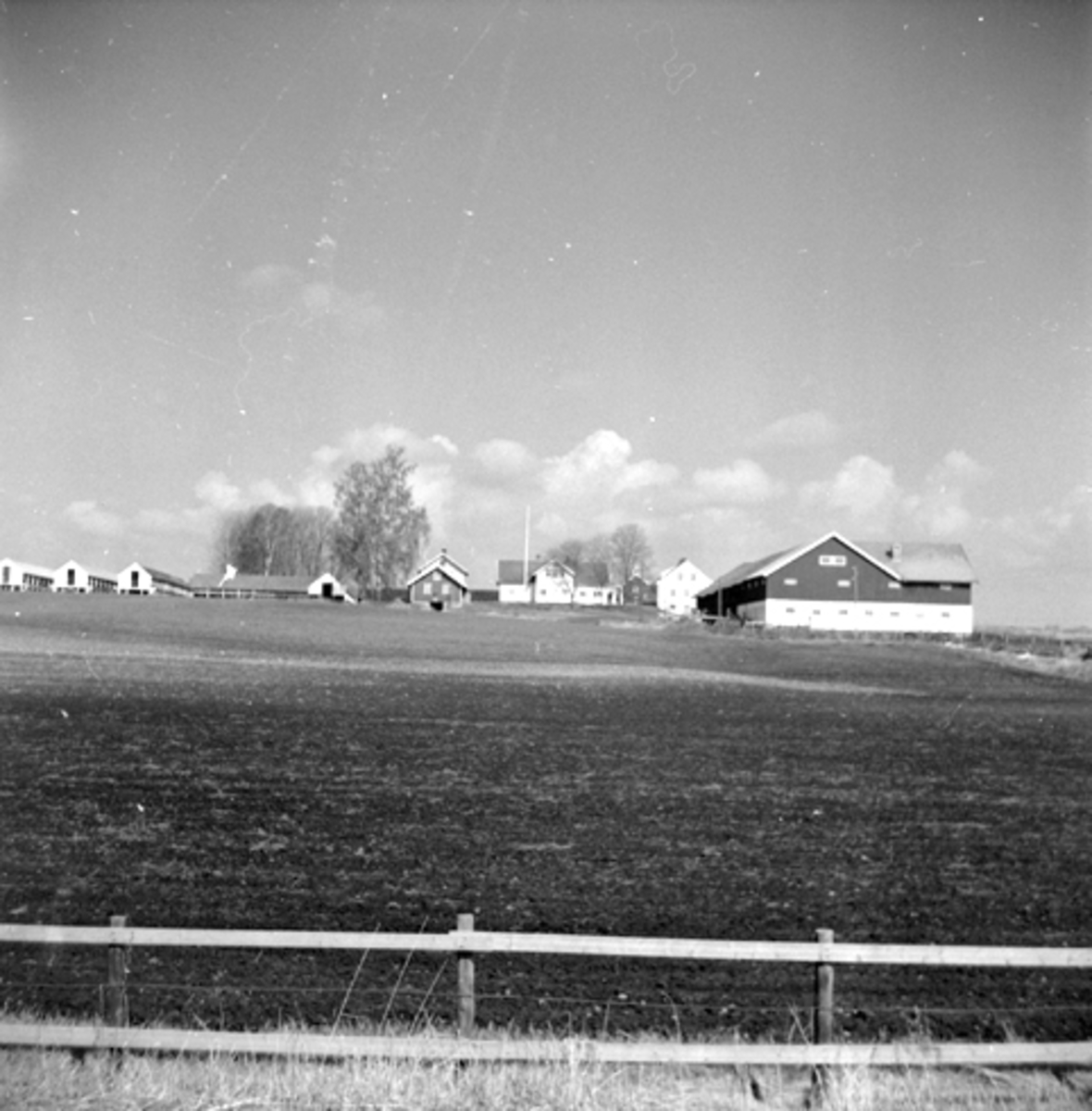 Grindereng gård, Løten. Minkproduksjon. 