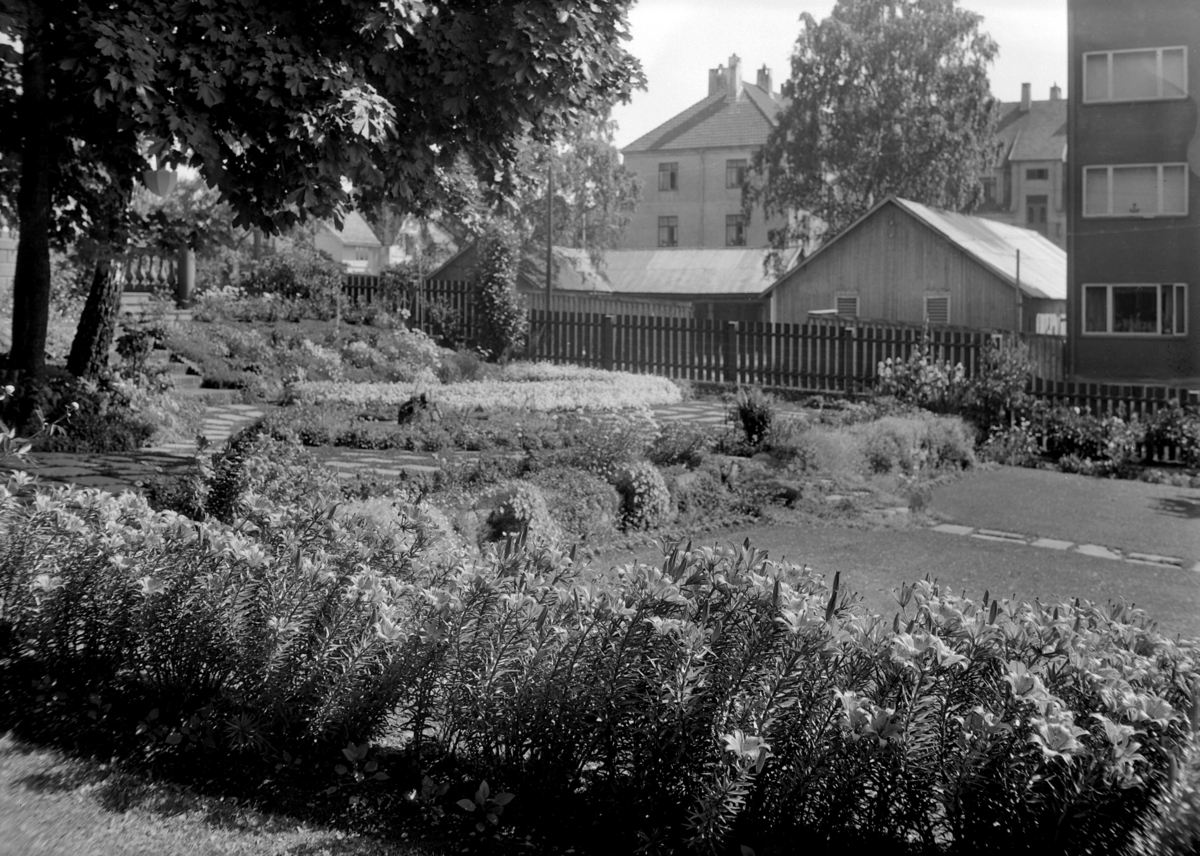 Hamar, Wergelands gate 14, Chr. Platou Murstad villa, Murstad var hobbygartner og anla en prydhage.