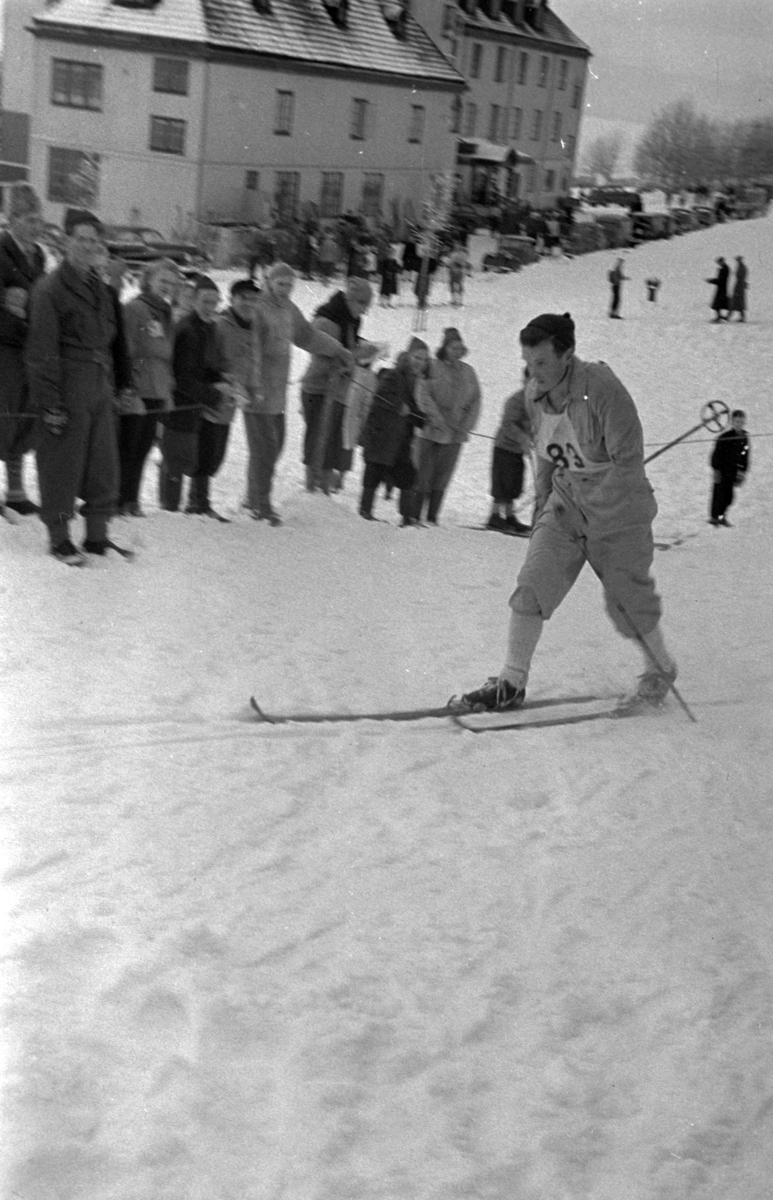 NM. Norgesmesterskap på ski, langrenn på Høsbjør i Furnes 1949. Skisport. Vinteridrett. Ukjent skiløper i sporet med startnummer 83 i sporet. 