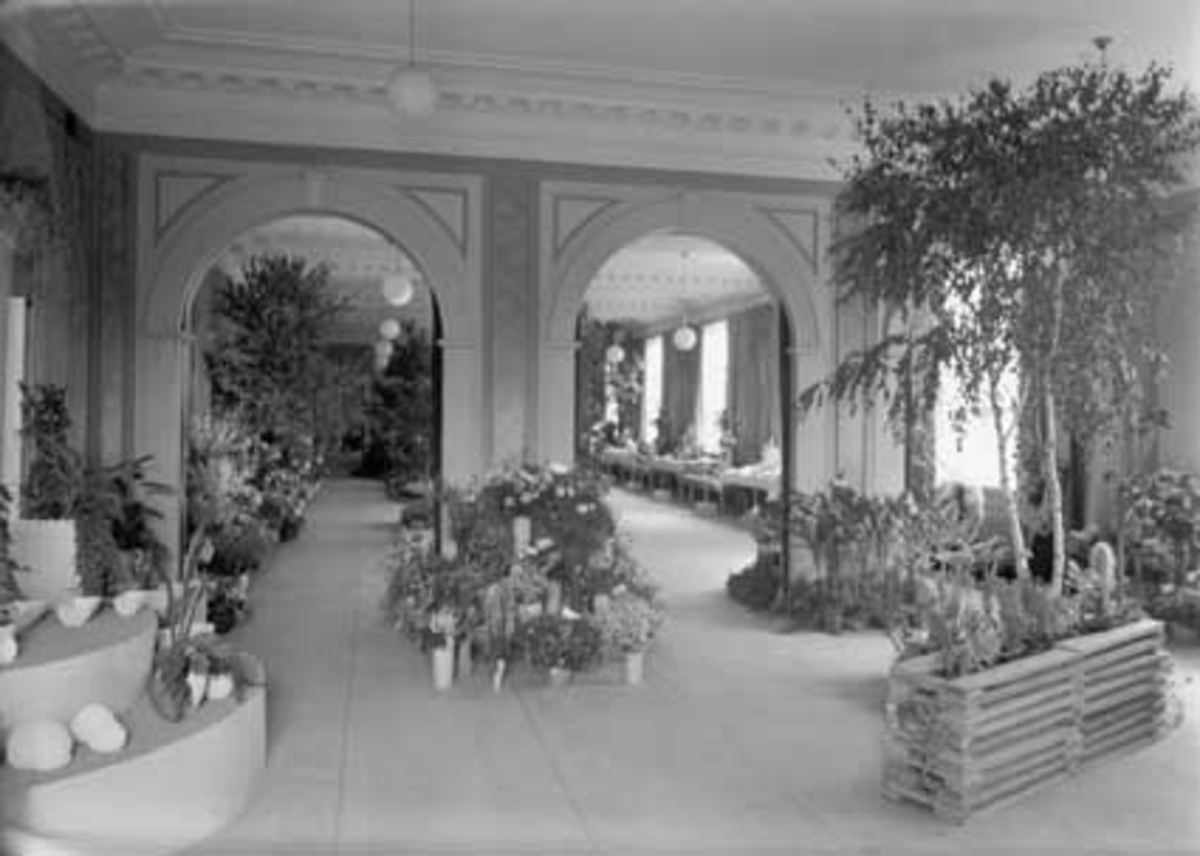 Hamar, Østregate 54, Frimurerlosjen, Hedmark Gartnerlag arrangerer utstilling med ideer til plen, terraser og vinterhager, blomster, planter,  
