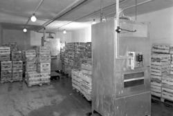 Hamar, Stangevegen 72, Gartnerhallen,